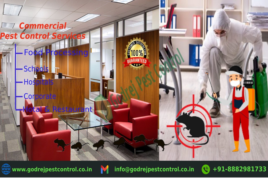 Commercial Pest Control