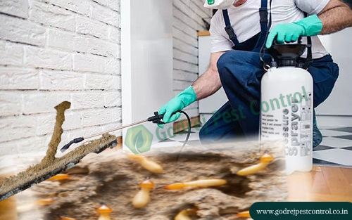 Termite treatment Gurgaon