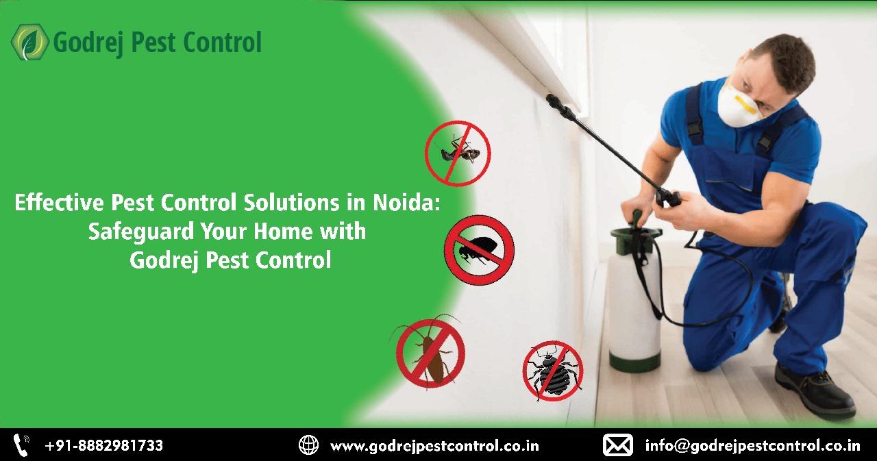 Pest Control Noida