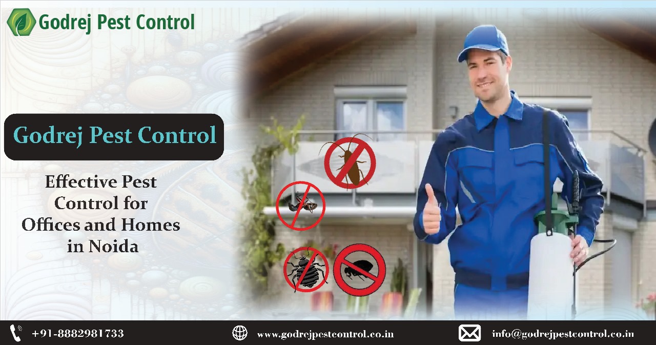 Pest Control Noida