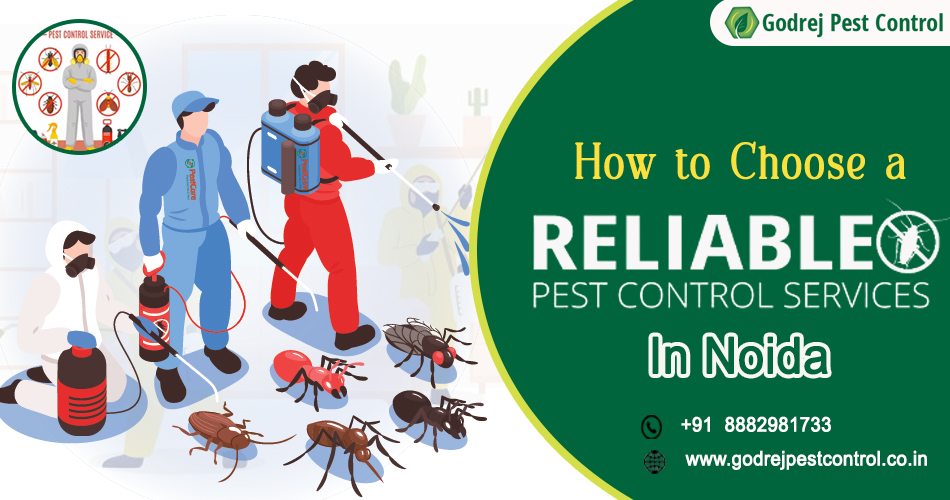 Pest Control Services India