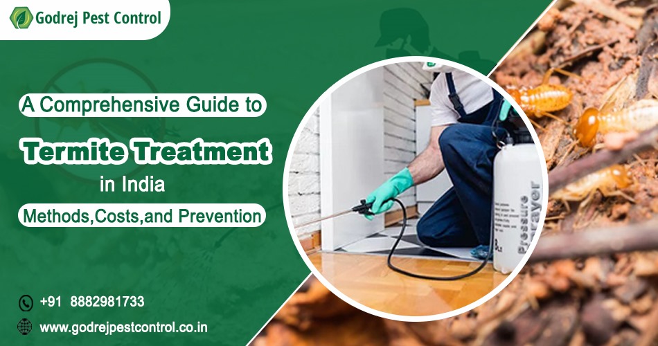 Termite Treatment India