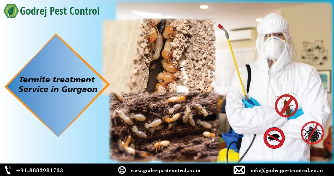 Termite treatment gurgaon