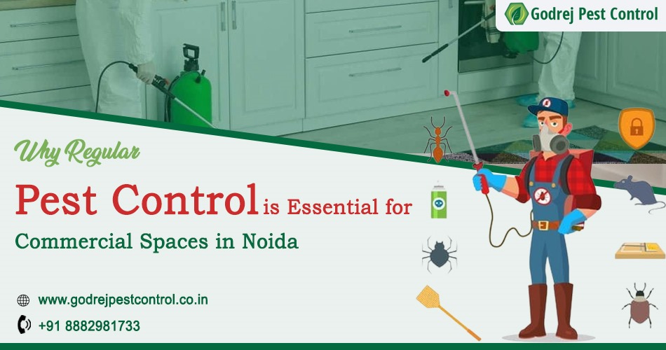 Commercial Pest Control Noida