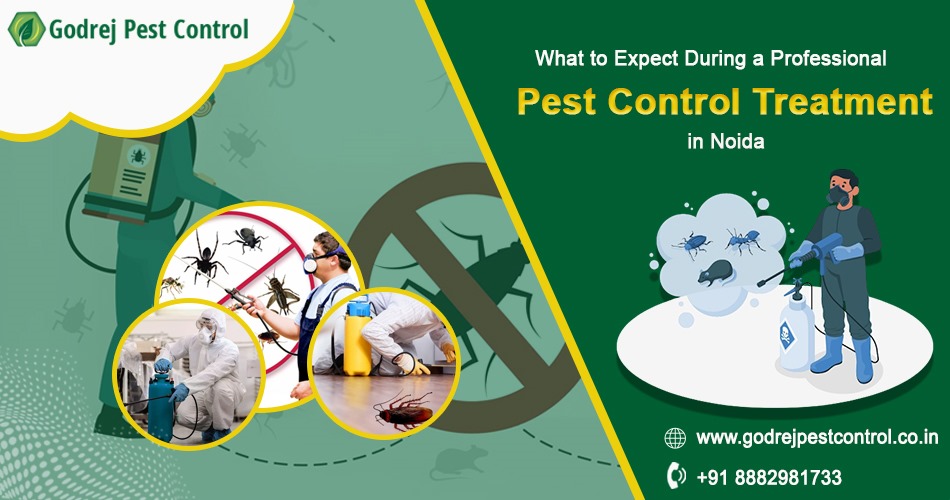 Pest Control Service in Noida