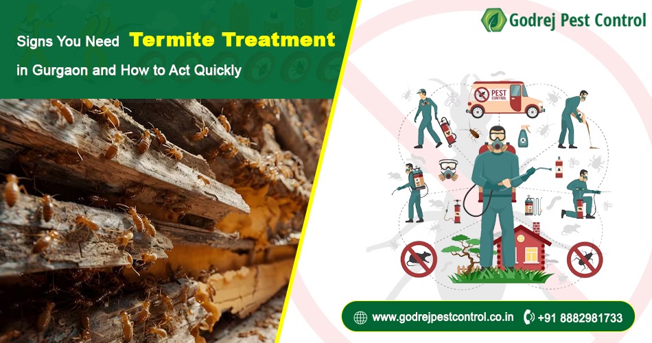 Termite Treatment in Gurgaon