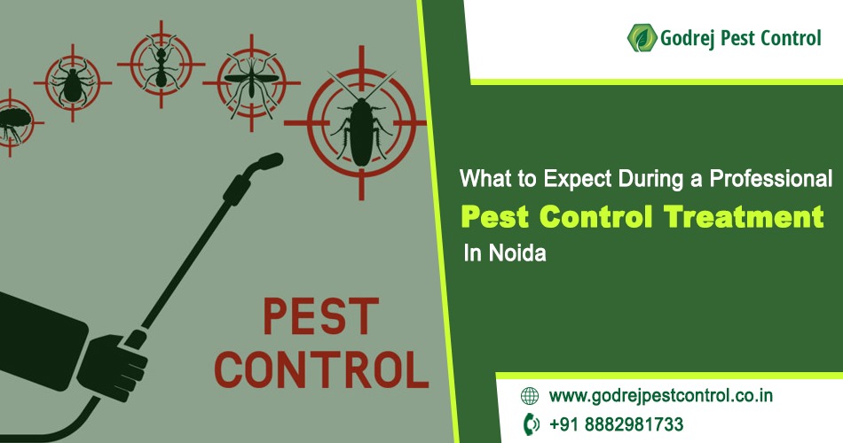 Pest Control Noida