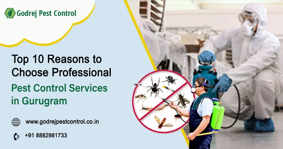 Pest Control Service Gurgaon