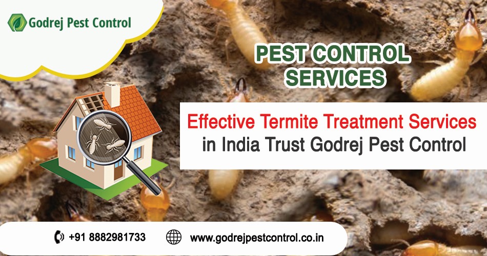 Termite Treatment Services In India