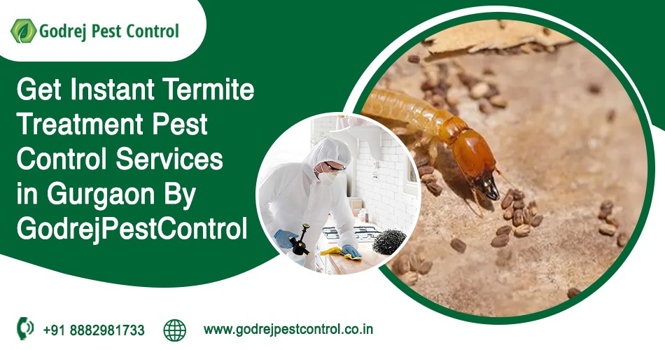 Termite Treatment in Gurgaon